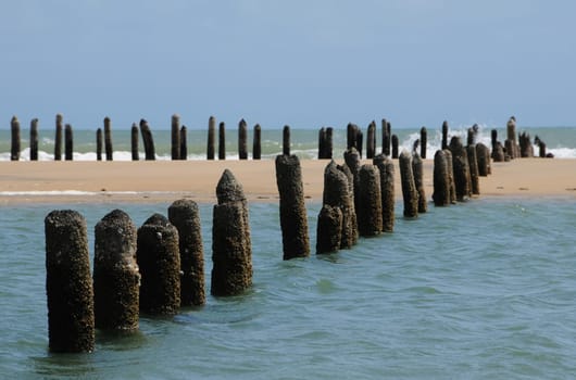 old fishing trap