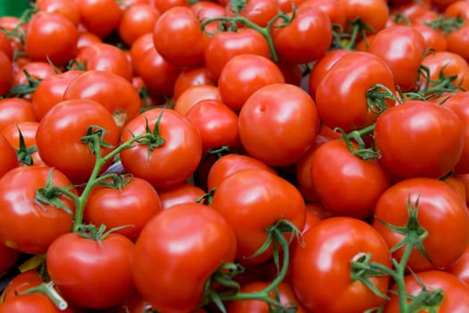 Pile of Ripe Tomatoes