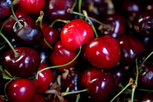 Cherries