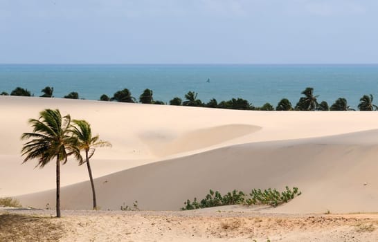 dunes