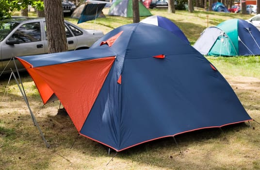 Blue tent with red entrance, nature in the forest