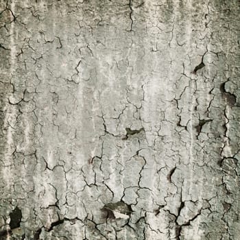 Loathsome square texture from the peeled wall
