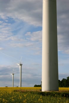 Alternative energies - Windmills and a rape field