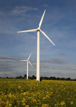Alternative energies - Windmills and a rape field