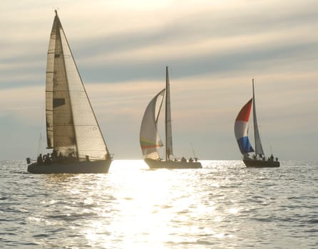 sailboats rounding a mark in a sunset race