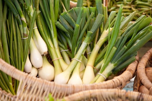 A bunch of fresh spring onions at a market