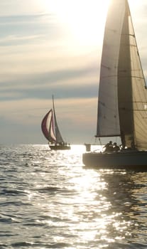 sailboats riding the wind into the sunset