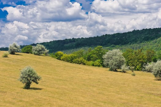 rural landscape with blue sky and clouds on it