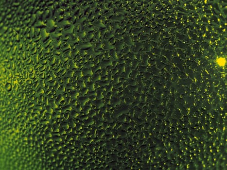 Water droplets formed from condensation inside a dark green bottle