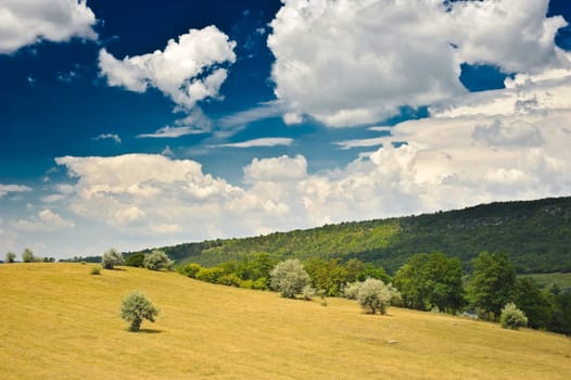 rural landscape with blue sky and clouds on it
