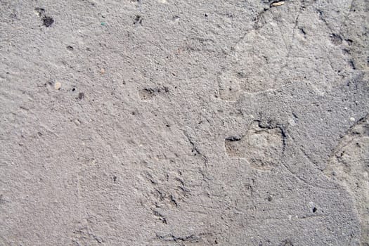 Concrete texture grey color