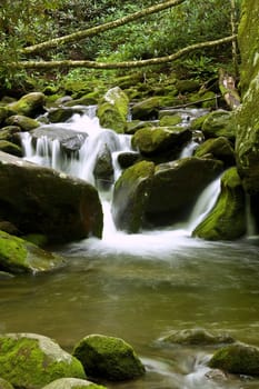 nice scenic view of a waterfall with silky smooth water