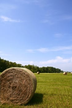Golden Straw Hay Bales in american countryside on sunny day