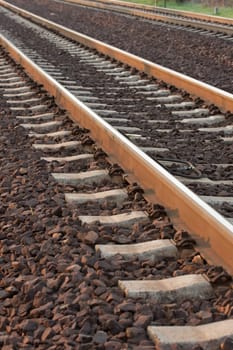 Railway tracks in soft light