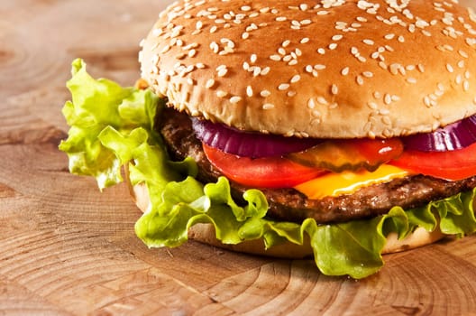 Cheeseburger with onions tomato and ketchup