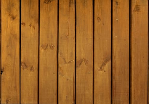 Close-up of light wood texture, natural light