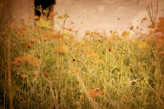 flower paper textures - perfect background with space for text or image