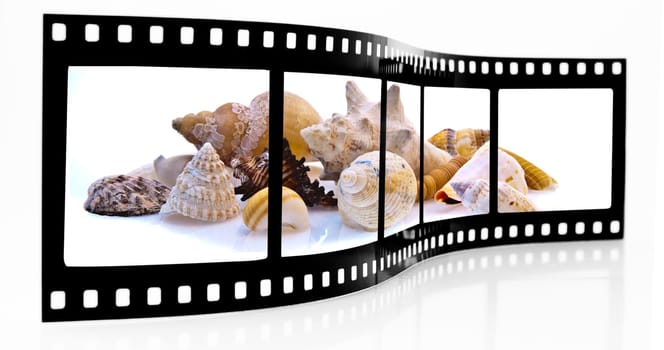 Shell film strip