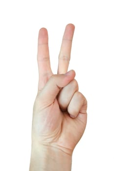 Man hand isolated on white background. Close up.