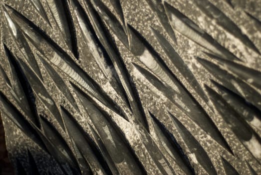 Fossilized Rock Surface with Sharp Angles