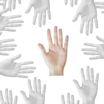 Many hands isolated on a white background