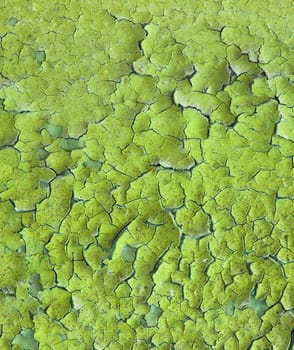 Old painted mangy wall with cracks texture