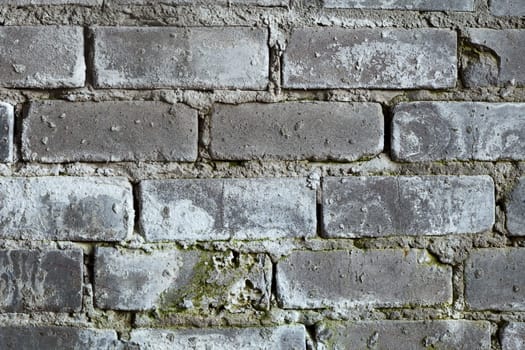 Surface of an old brick grey wall with a mold