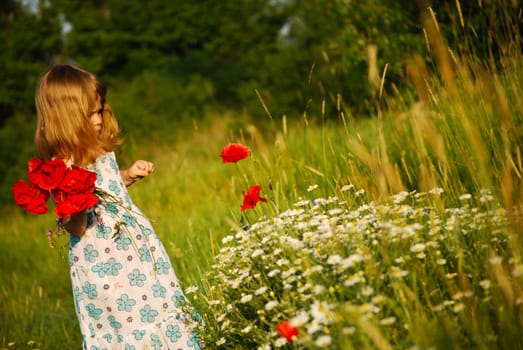 a short trip to the poppy field