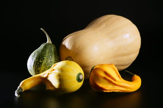 Varied colorful pumpkin still over black background