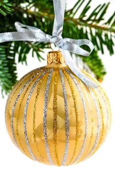 Golden Christmas decoration hanging on pine branch isolated on white