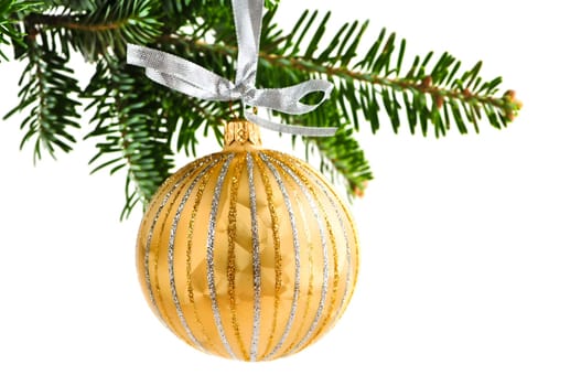 Golden Christmas decoration hanging on pine branch isolated on white