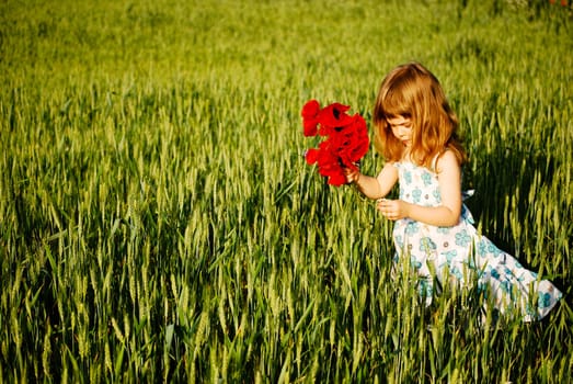 a short trip to the poppy field