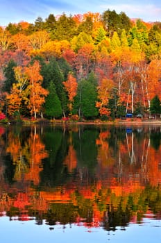 Forest of colorful autumn trees reflecting in calm lake