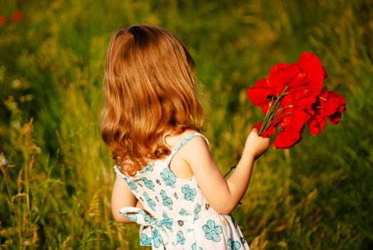 a short trip to the poppy field