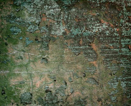 Dark concrete painted old wall background