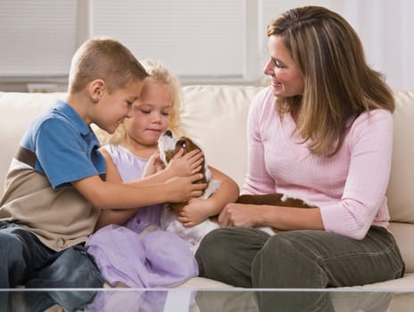 A mother and her two young children are playing with a small puppy.  They are smiling and looking away from the camera.  Square framed shot.