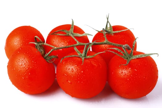 Ripe cherry tomatoes on vine isolated on white background