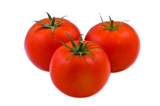 Tomatoes on white background