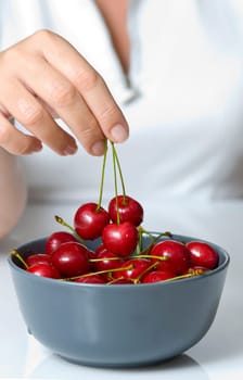 sweet cherry in woman fingers
