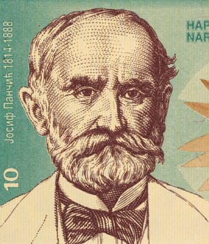 Joseph Panchic on 10 Dinara 1994 Banknote from Yugoslavia