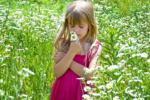 Little girl smelling a bouquet of wild daisies.