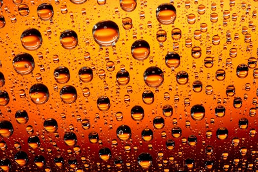 orange macro of water drops