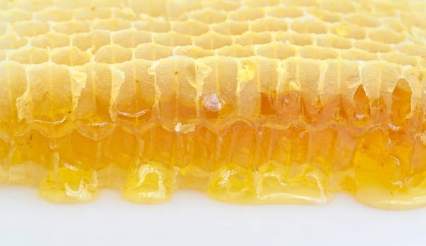 Honeycomb