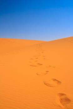walking on Sahara, Erg Chebbi, Morocco , focus set in foreground