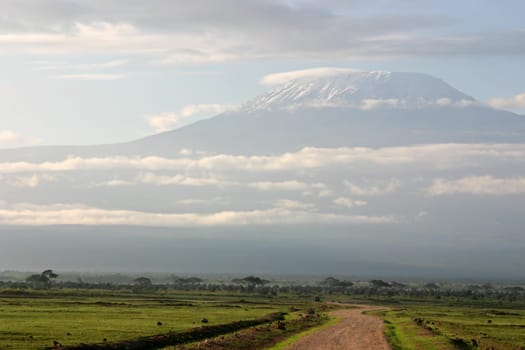 Road to Kilimanjaro in Amboseli Park, Kenya