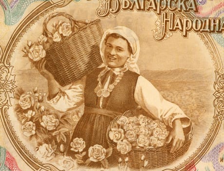 Woman Harvesting Roses on 50 Lev 1951 Banknote from Bulgaria