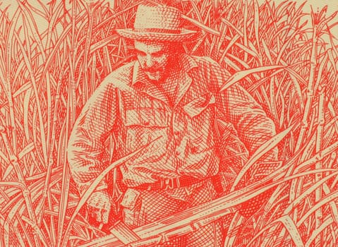 Ernesto Che Guevara on 3 Pesos 2004 Banknote from Cuba