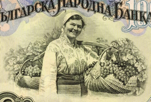 Woman Harvesting Grapes on 100 Lev 1951 Banknote from Bulgaria