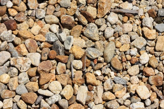 A bed of small gravel and pebbles