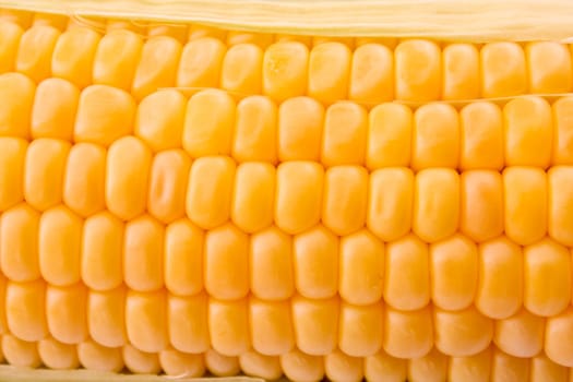 Corn background